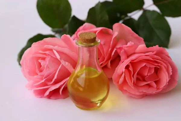 Pink Roses White Background Rose Oil Bottle — Stock Photo, Image