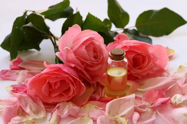 白い背景にピンクのバラとボトルに油をバラ — ストック写真