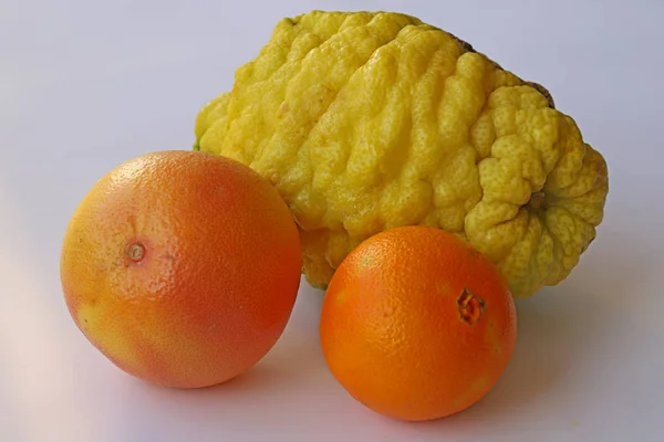 Narancs Grapefruit Bergamot Fehér Alapon — Stock Fotó