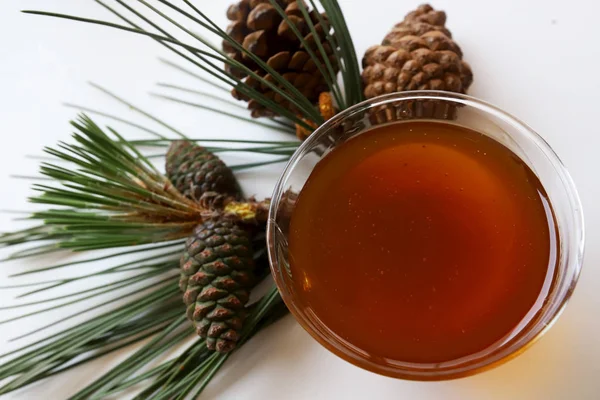 Beyaz arka planda cam kasede çam dalı ve çam balı.