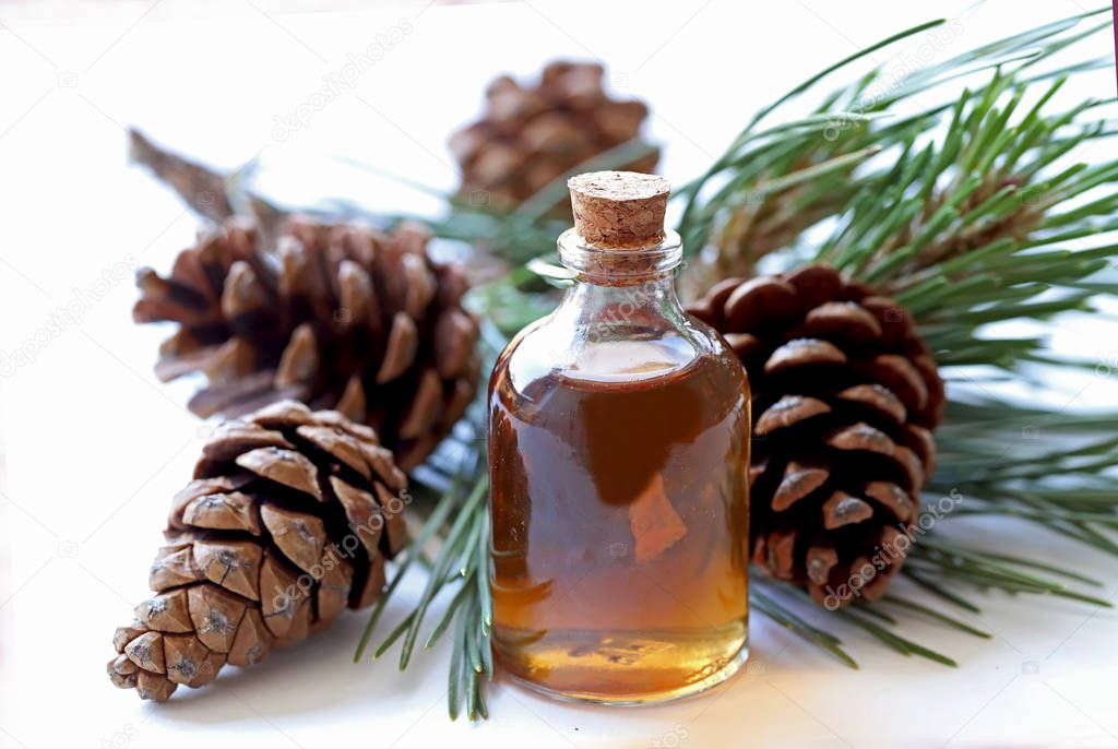 Pine branch, cones and natural pine oil in bottle.