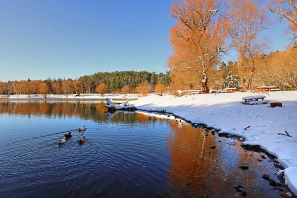 Invierno Zmir Yamanlar Mountain Parque Natural Lago Negro — Foto de Stock