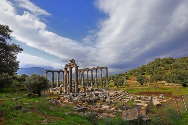 Türkiye / Mugla / Milas 04 Aralık 2019 Euromos tapınağının kalıntıları.
