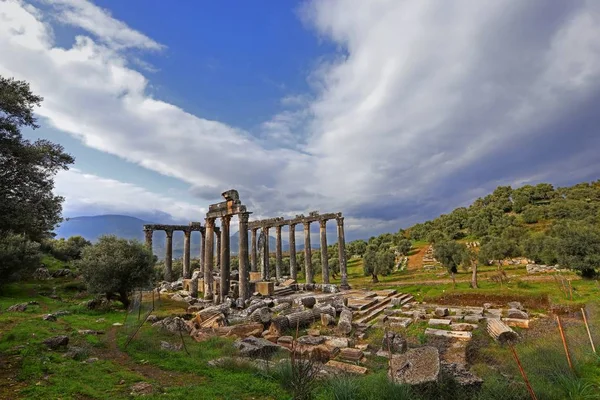 Turquie Mugla Milas Décembre 2019 Les Ruines Temple Euromos — Photo