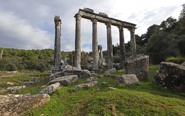 Turkiet Mugla Milas December 2019 Ruinerna Templet Euromos — Stockfoto