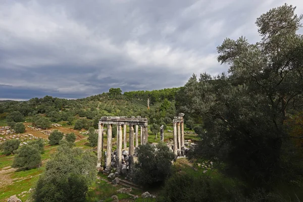 Turquie Mugla Milas Décembre 2019 Les Ruines Temple Euromos — Photo
