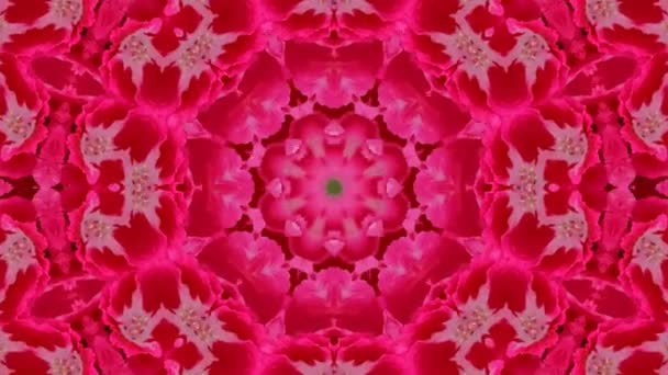 Abstraktes Kaleidoskop Schöne Mehrfarbige Kaleidoskop Textur Einzigartiges Kaleidoskopdesign — Stockvideo