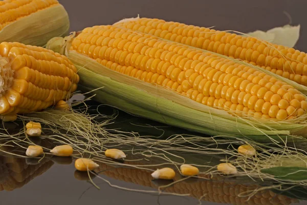 Corns Ready Sale Market — Stock Photo, Image