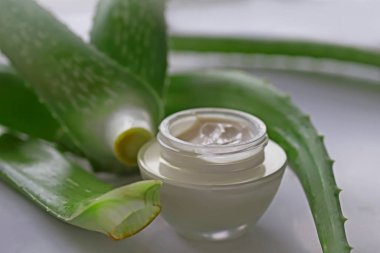 aloe vera kremi (barbadensis miller )