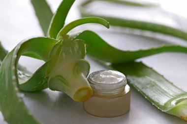 aloe vera kremi (barbadensis miller )