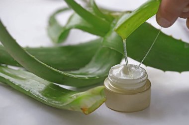 aloe vera kremi (barbadensis miller )
