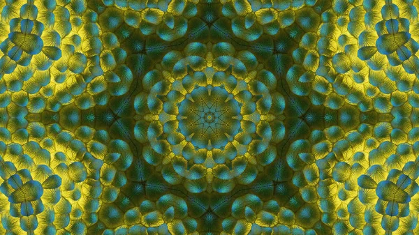 Very Beautiful Printed Motifs Design Textile Ceramics Wallpaper Kaleidoscope Images — 스톡 사진