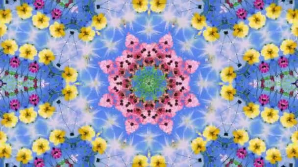 Colored Kaleidoscope Sequence Patterns Abstract Multicolored Motion Graphics Background Yoga — Stock Video