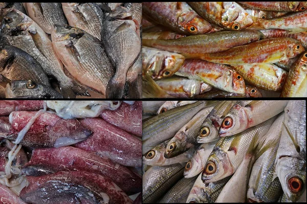 Разнообразная Рыба Рынке — стоковое фото