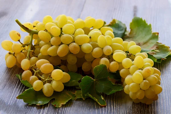 Uvas Amarillas Frescas Sin Semillas Sobre Fondo Blanco — Foto de Stock