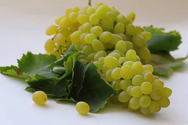 Seedless Verse Gele Druiven Een Witte Achtergrond — Stockfoto