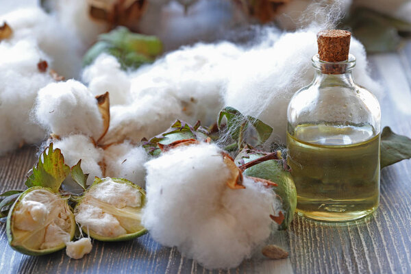 Cottons and cotton oil in bottle