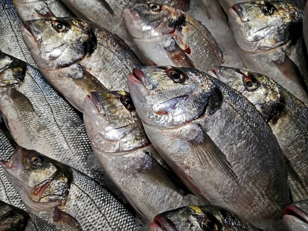 Рыба Лещ Рынке — стоковое фото