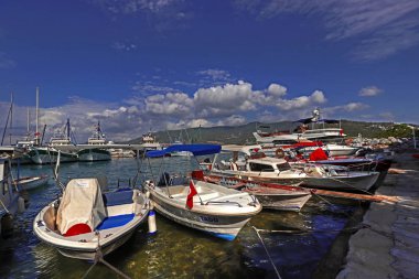 Chervil plant and boats in Turkey / Bodrum / Turkbuku bay.