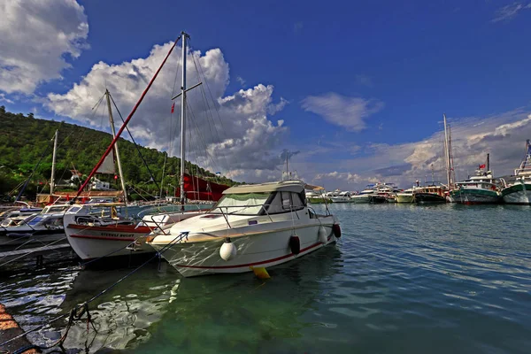 Cerfeuil Usine Bateaux Turquie Bodrum Baie Turkbuku — Photo