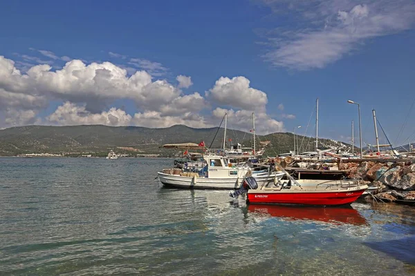 Chervil Plant Boats Turkey Bodrum Turkbuku Bay — ストック写真