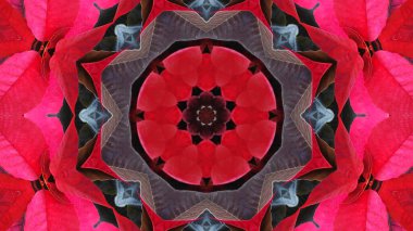 Tekstil, seramik, duvar kağıdı, tasarım, kaleydoskop resimleri için çok güzel yazdırma motifleri.