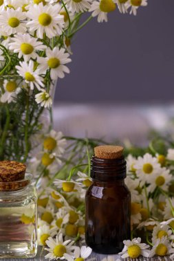 Papatya çiçeği yağı. Papatya.