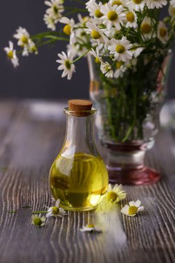 Papatya çiçeği yağı. Papatya.