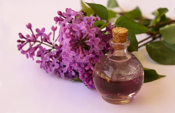 芳香のあるライラックの花の香水 ケルン — ストック写真