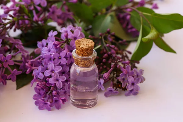 芳香のあるライラックの花の香水 ケルン — ストック写真