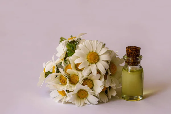 Gänseblümchen Kamillenblüten Und Kamillenöl Flaschen Auf Weißem Hintergrund — Stockfoto