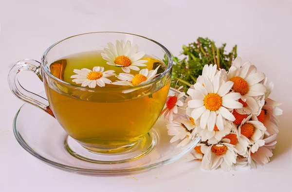 Ромашковые Цветы Ромашковый Чай Чашке — стоковое фото