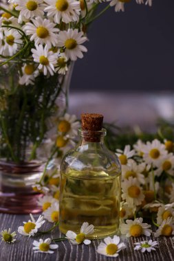 Papatyalar, papatya çiçekleri ve ahşap arka plandaki şişelerde papatya yağı.