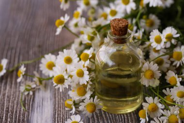 Papatyalar, papatya çiçekleri ve ahşap arka plandaki şişelerde papatya yağı.