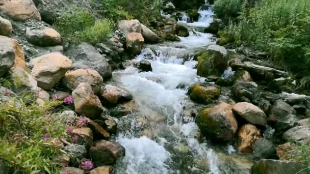 Turkije Izmir Bozdag Waterval Natuur — Stockvideo