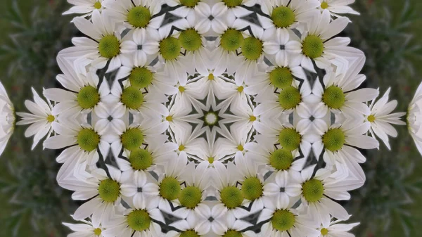 Very Beautiful Print Motifs Textile Ceramic Wallpaper Design Kaleidoscope Images — 스톡 사진