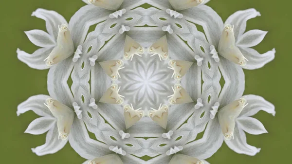 Very Beautiful Print Motifs Textile Ceramic Wallpaper Design Kaleidoscope Images — Stock Photo, Image