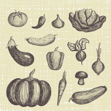 elle çizilmiş sebze seti