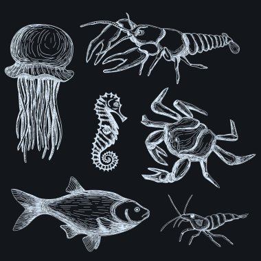 Elle çizilmiş deniz yaşamı seti