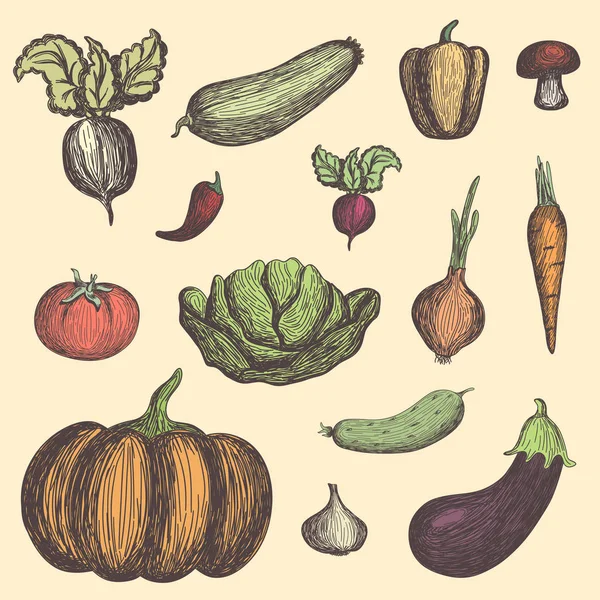 Conjunto de verduras coloreadas — Archivo Imágenes Vectoriales