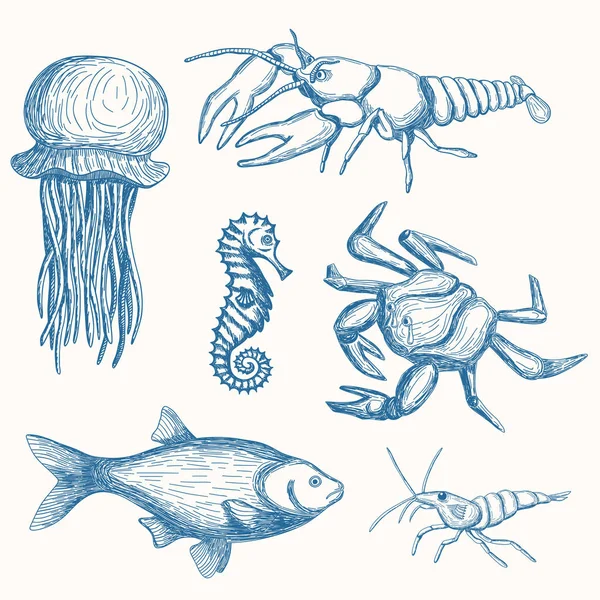 Conjunto de vida marina dibujada a mano — Archivo Imágenes Vectoriales