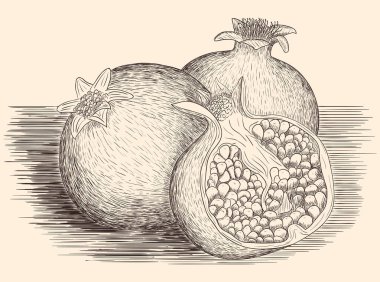 Elle çizilmiş Garnet