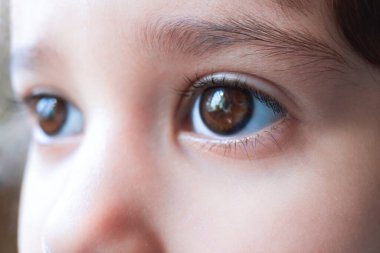 Ciddi çocukların kahverengi gözlerine yakın çekim. Kafkas çocuk portresi. Kız kameraya bakmaz.