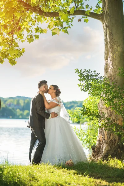 Casamento casal beijando perto do lago — Fotografia de Stock