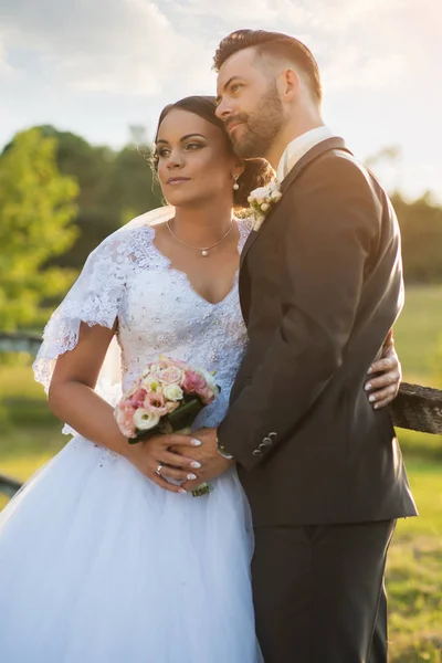 Casamento casal abraçando ao pôr do sol . — Fotografia de Stock