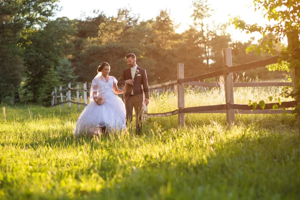 Casamento casal na natureza . — Fotografia de Stock