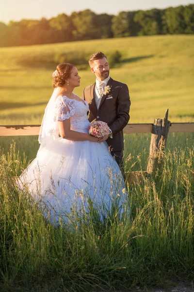 Casal de casamento em campo . — Fotografia de Stock