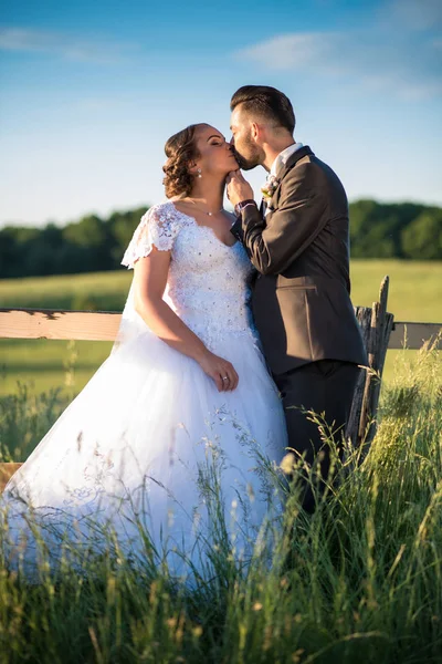 Casamento casal beijando — Fotografia de Stock