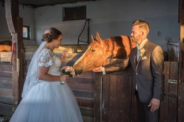 Casamento casal com cavalo — Fotografia de Stock