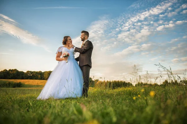 Casal de casamento em campo . — Fotografia de Stock